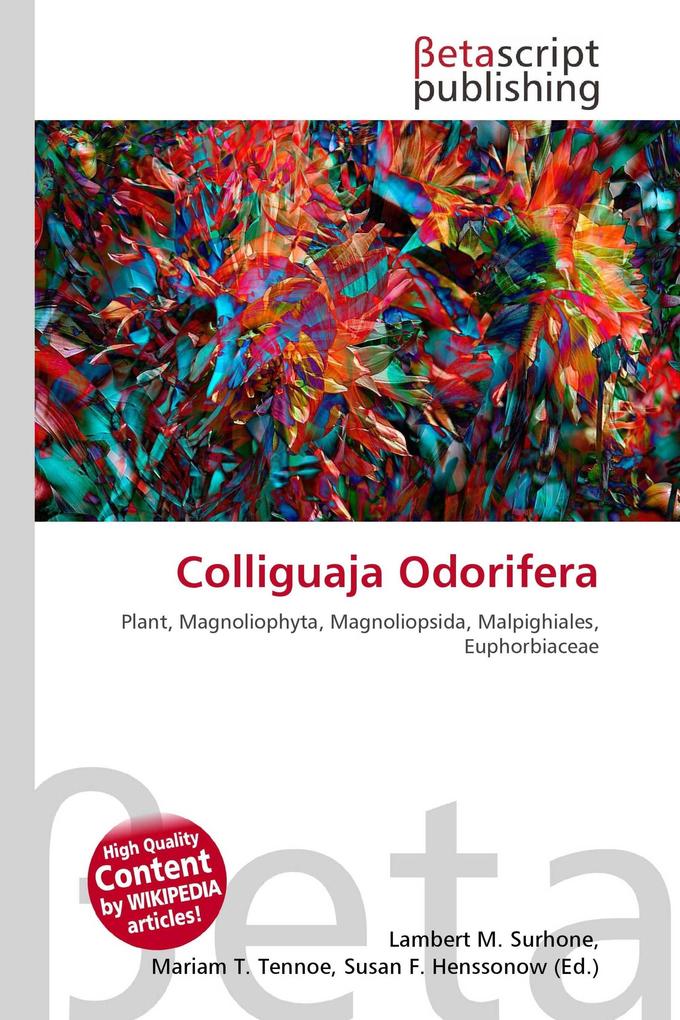 Colliguaja Odorifera