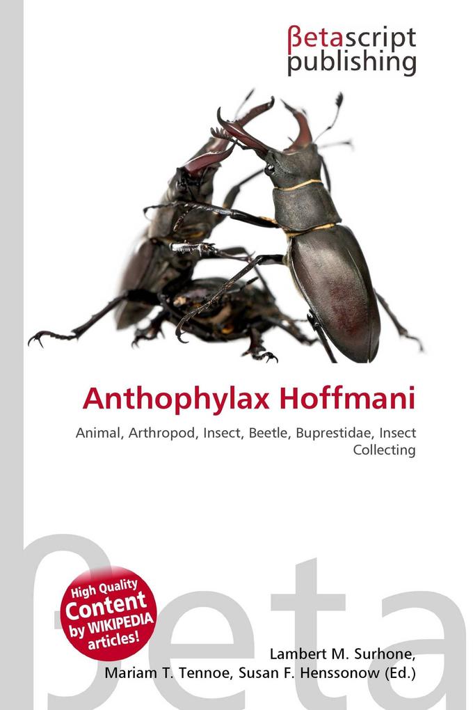 Anthophylax Hoffmani