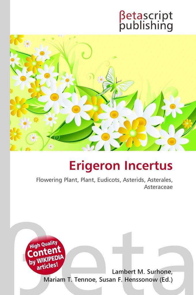 Erigeron Incertus