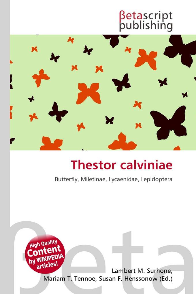Thestor calviniae