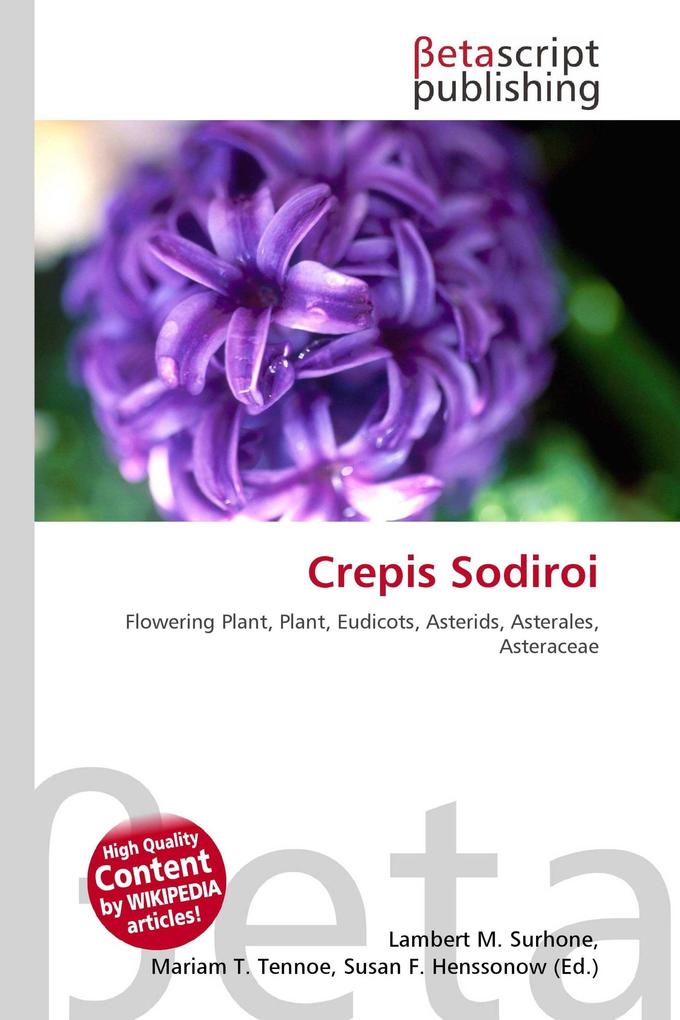 Crepis Sodiroi