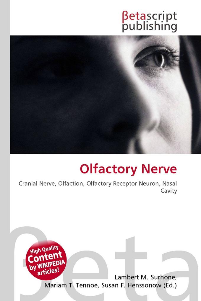 Olfactory Nerve