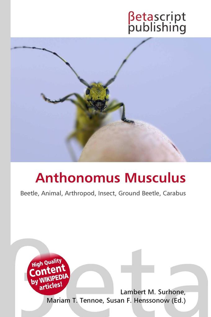 Anthonomus Musculus