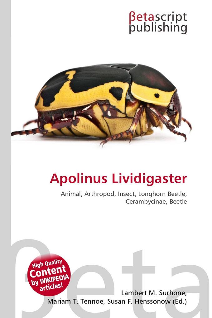 Apolinus Lividigaster