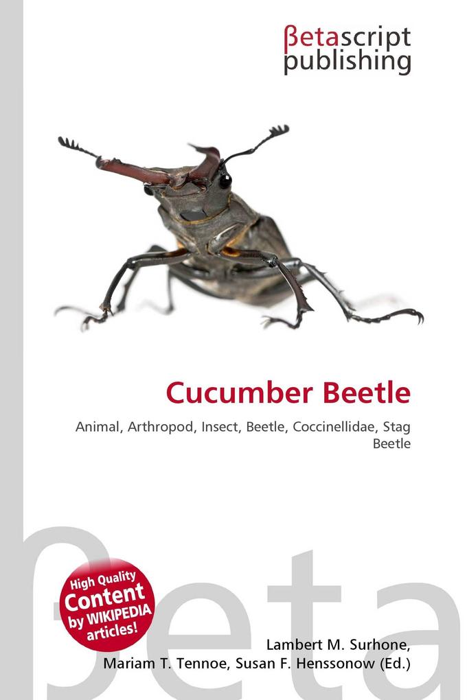 Cucumber Beetle