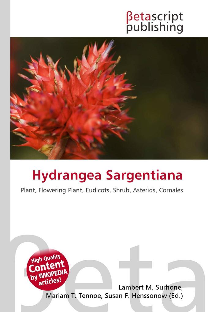 Hydrangea Sargentiana