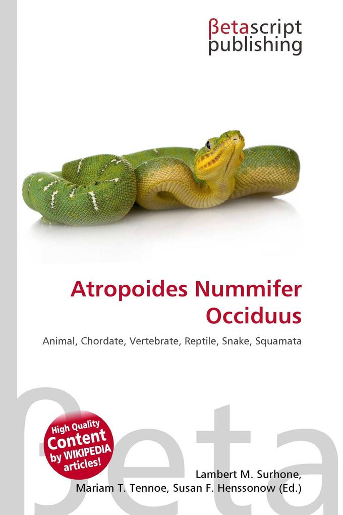 Atropoides Nummifer Occiduus