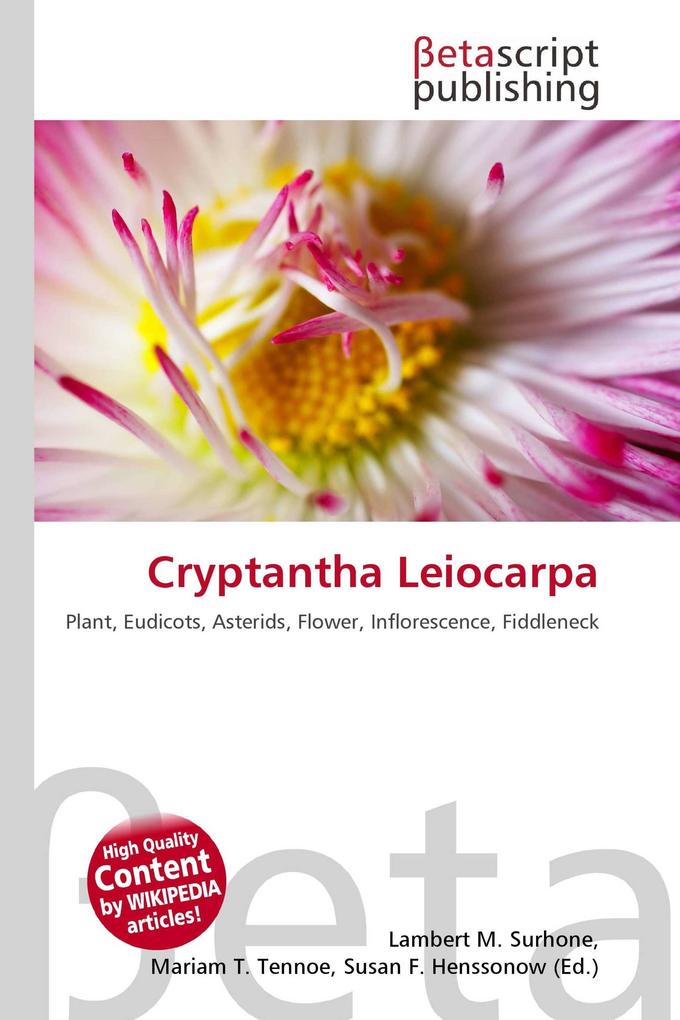 Cryptantha Leiocarpa