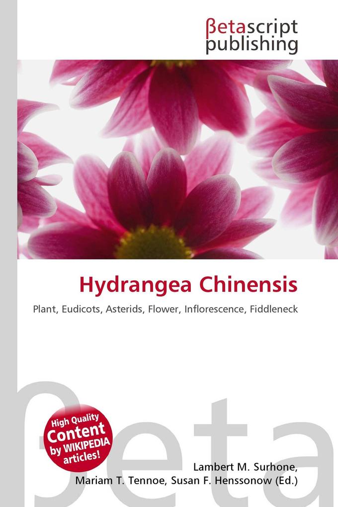 Hydrangea Chinensis