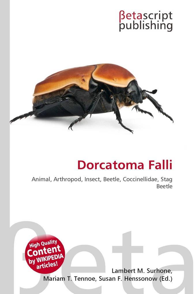Dorcatoma Falli