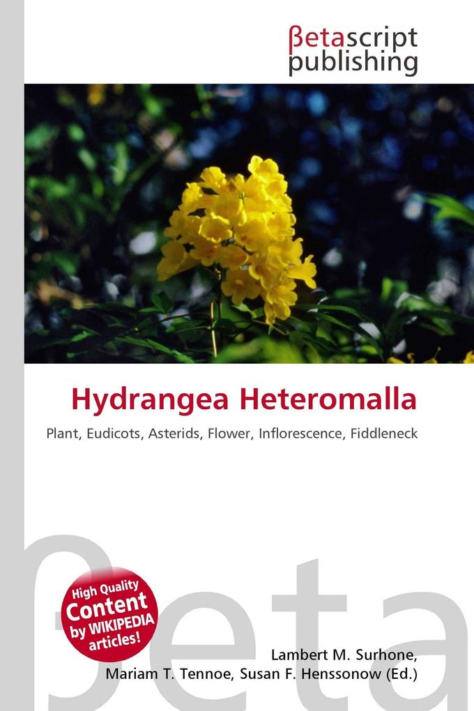 Hydrangea Heteromalla