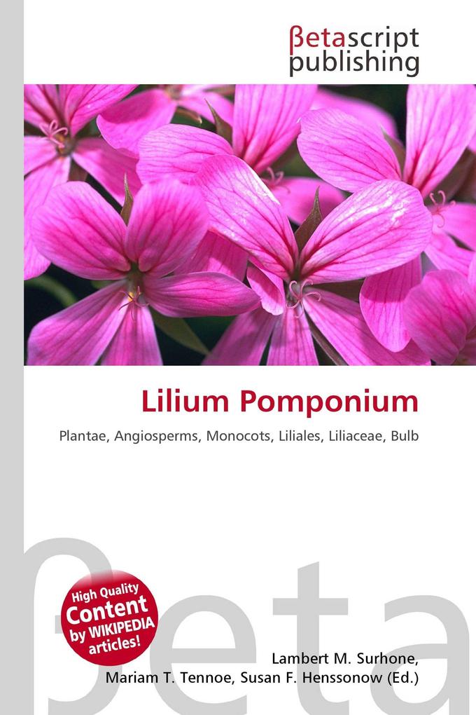 Lilium Pomponium