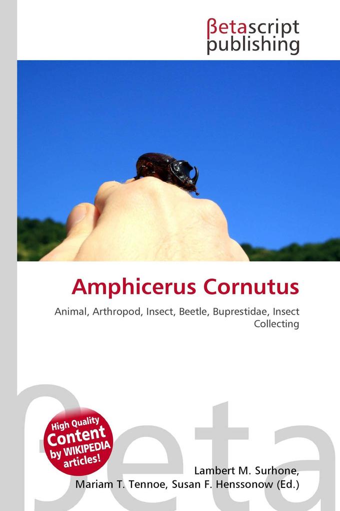 Amphicerus Cornutus