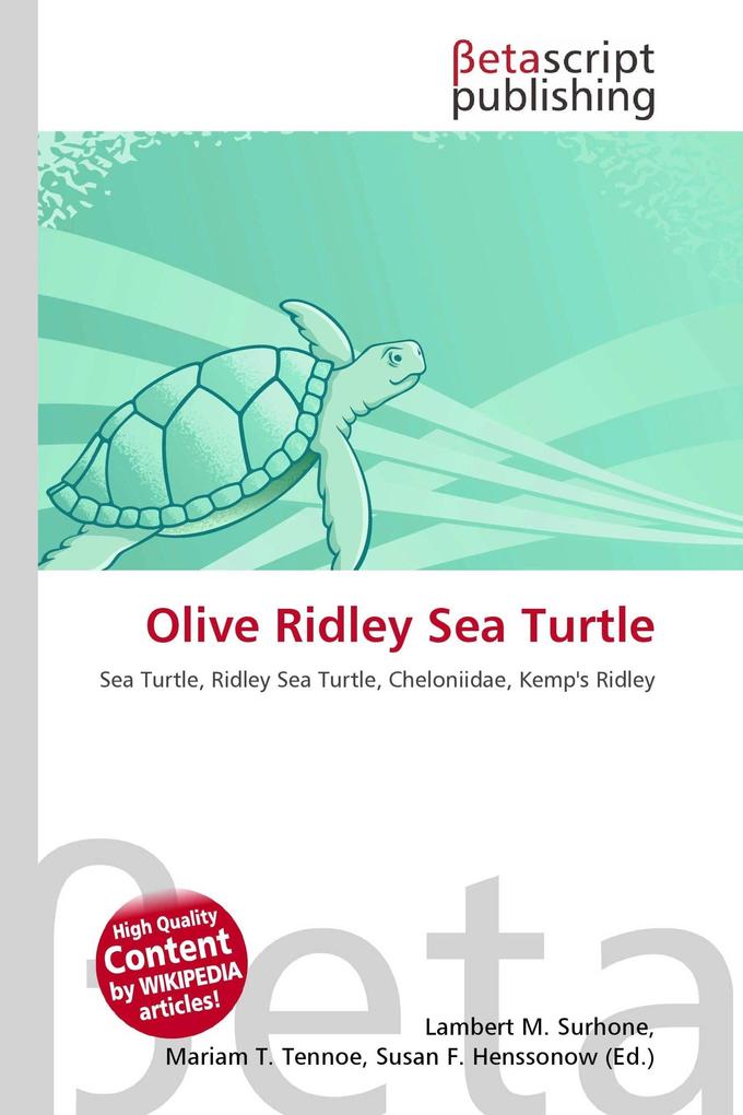 Olive Ridley Sea Turtle