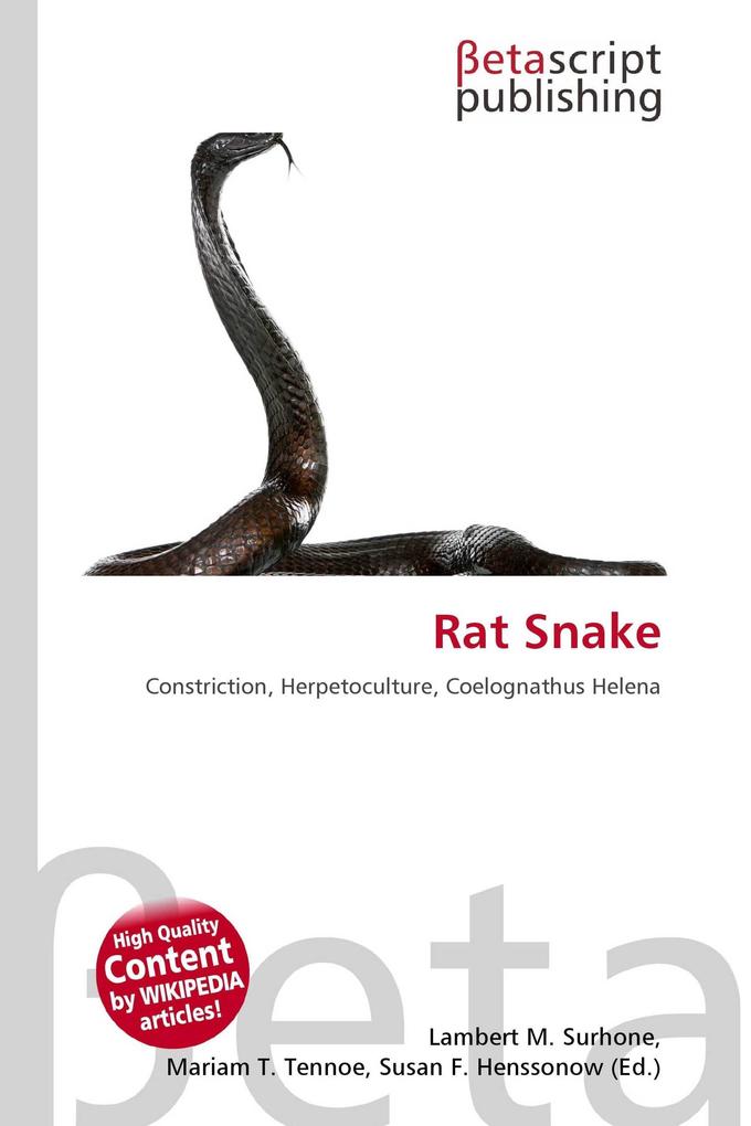 Rat Snake