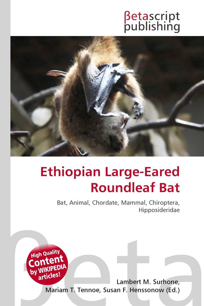 Ethiopian Large-Eared Roundleaf Bat