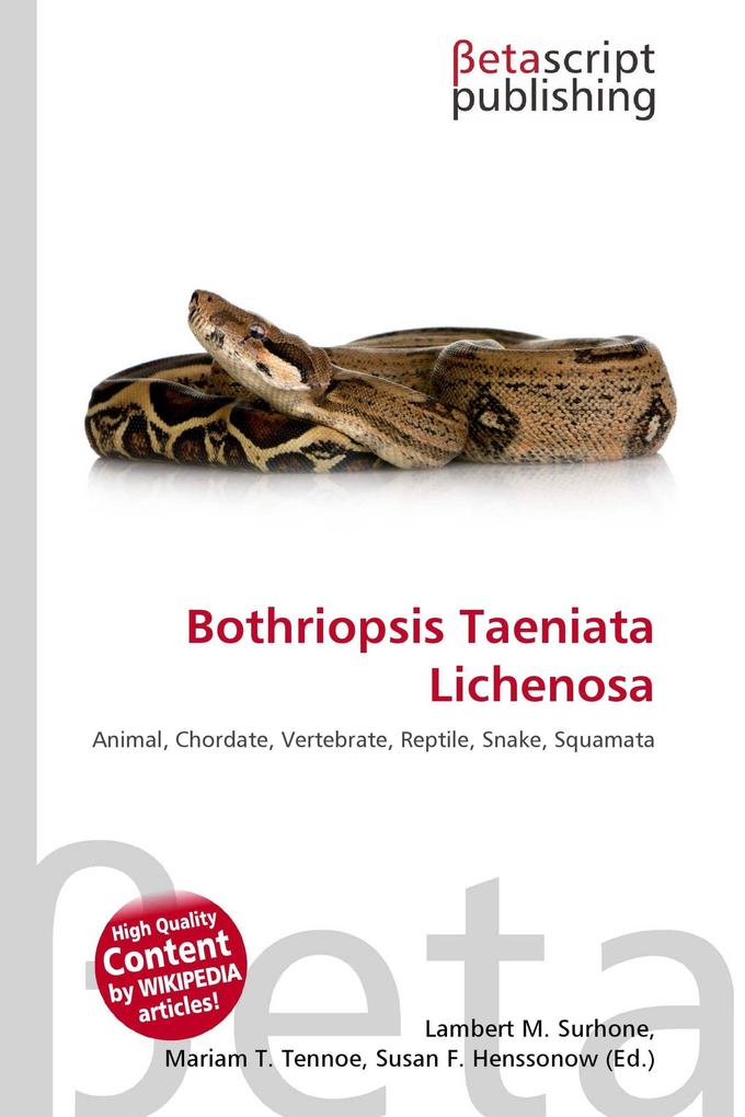 Bothriopsis Taeniata Lichenosa