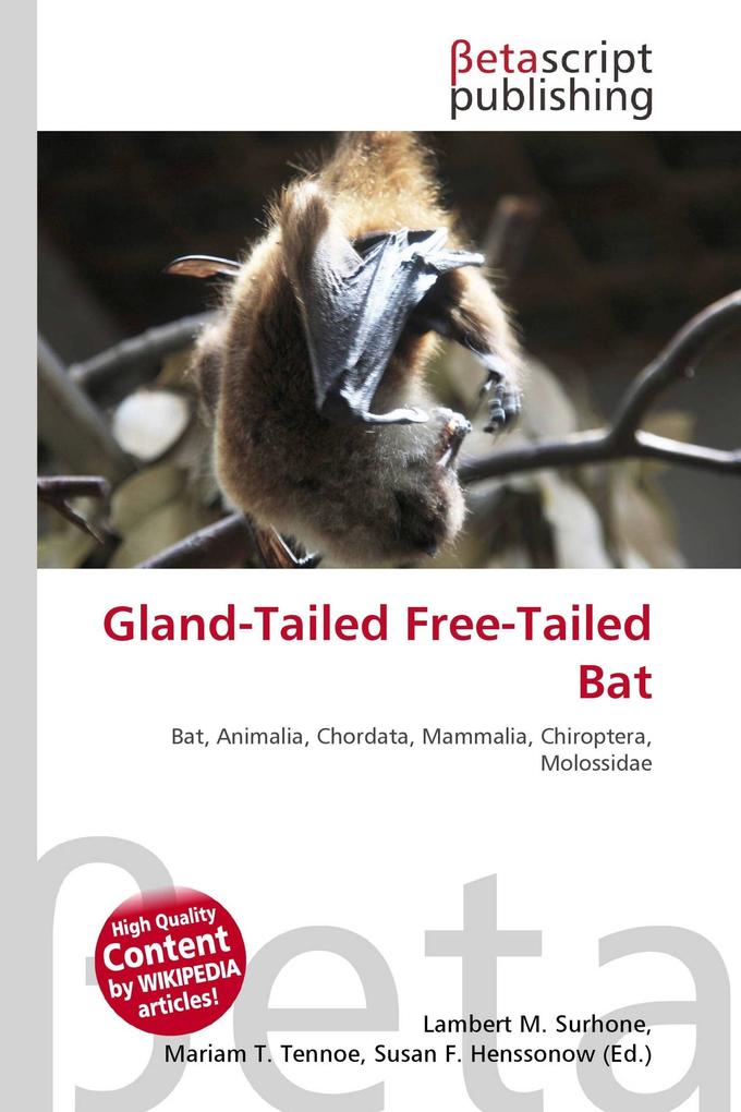 Gland-Tailed Free-Tailed Bat