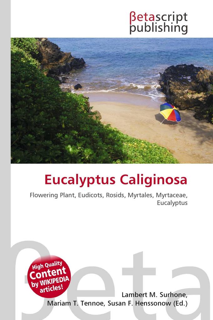 Eucalyptus Caliginosa