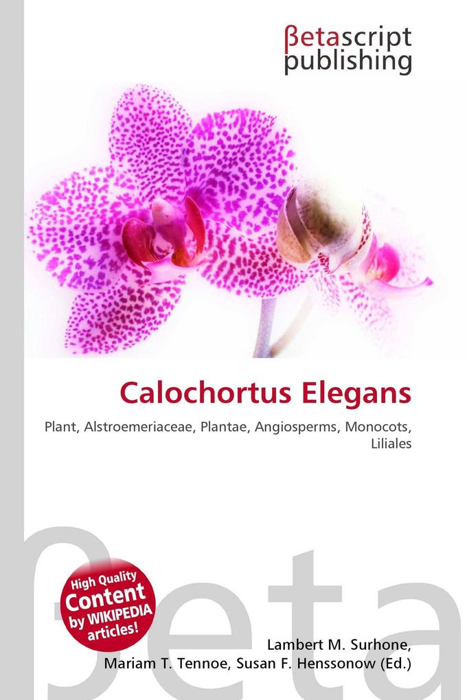 Calochortus Elegans
