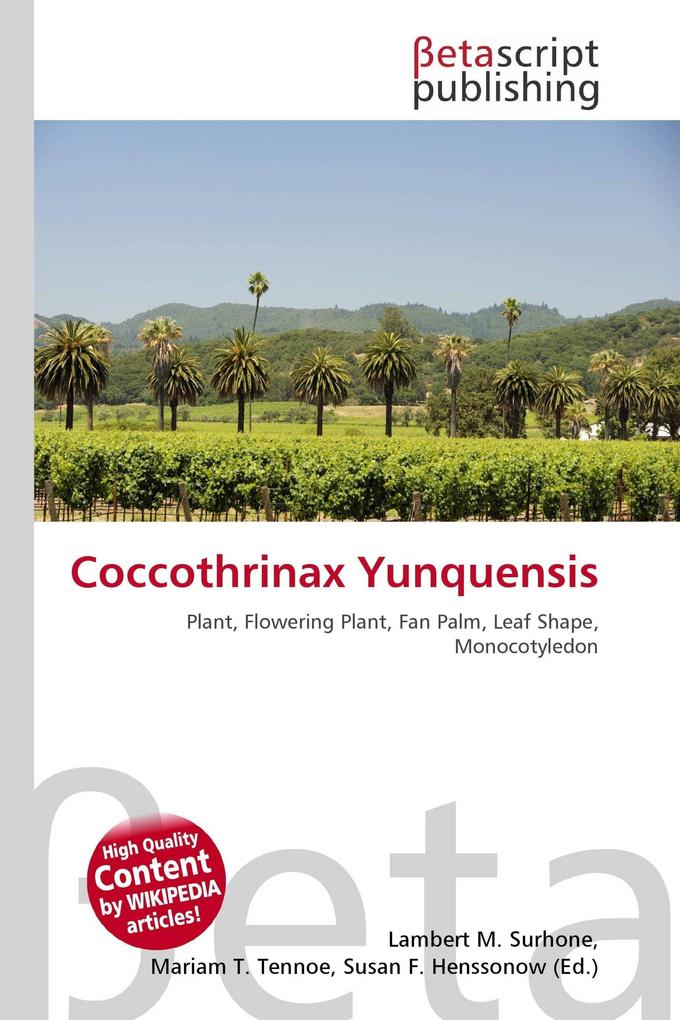Coccothrinax Yunquensis