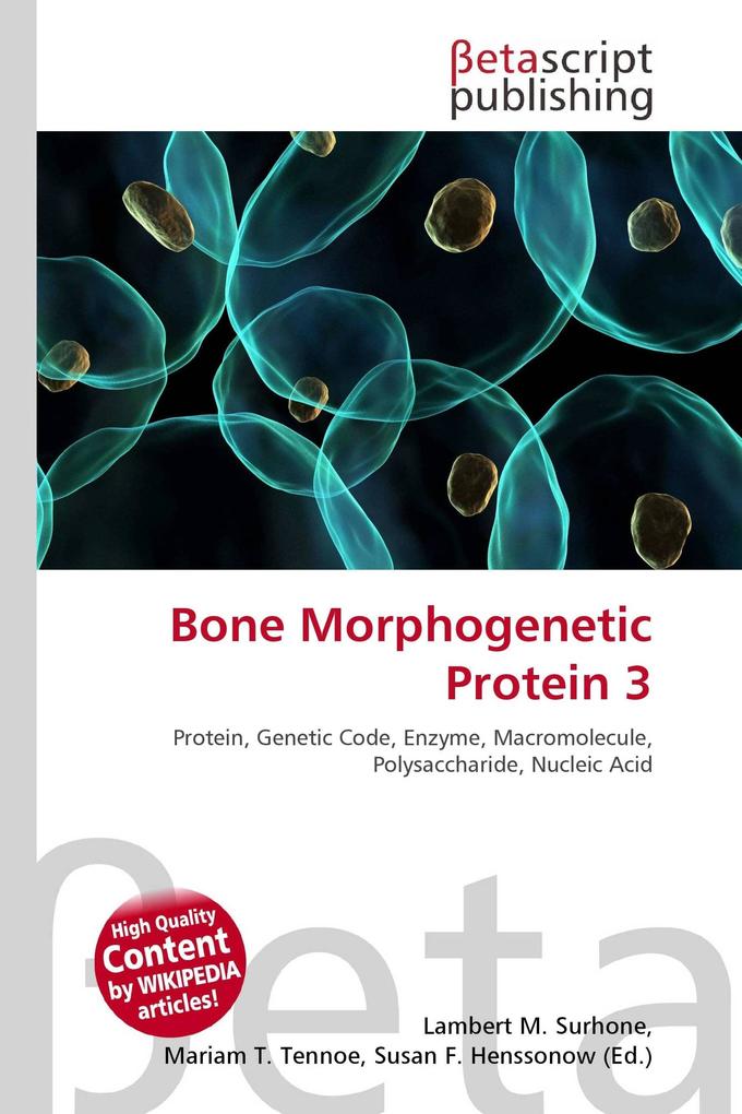 Bone Morphogenetic Protein 3