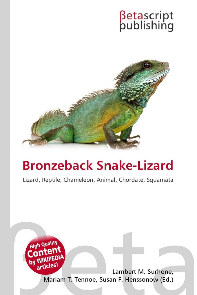 Bronzeback Snake-Lizard