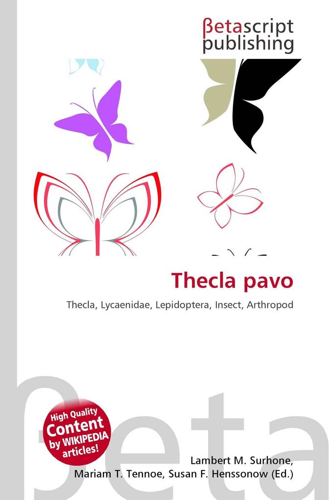Thecla pavo