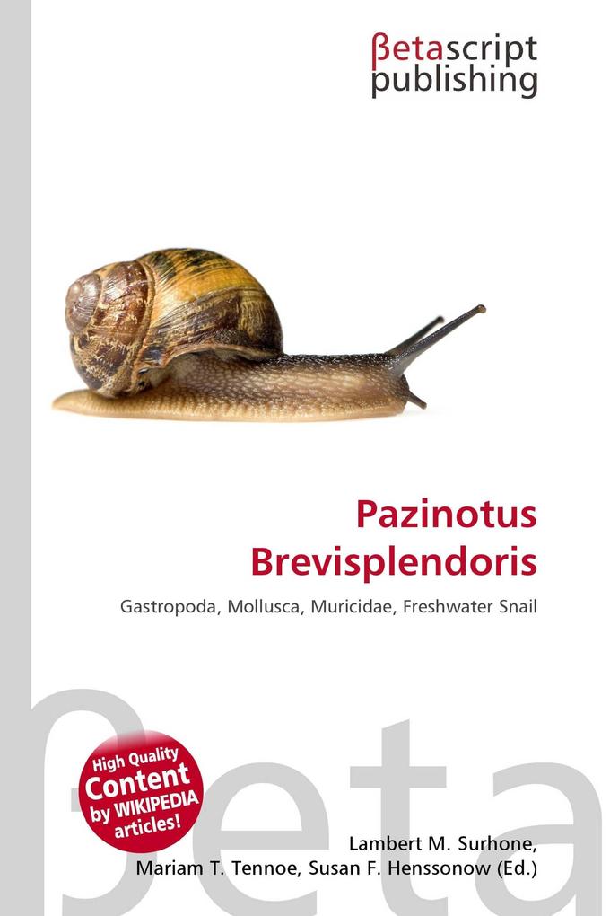 Pazinotus Brevisplendoris