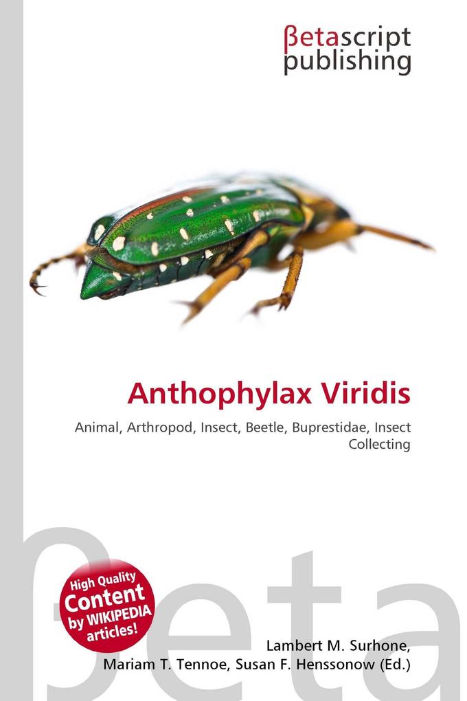 Anthophylax Viridis