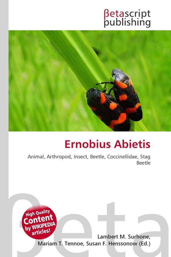 Ernobius Abietis