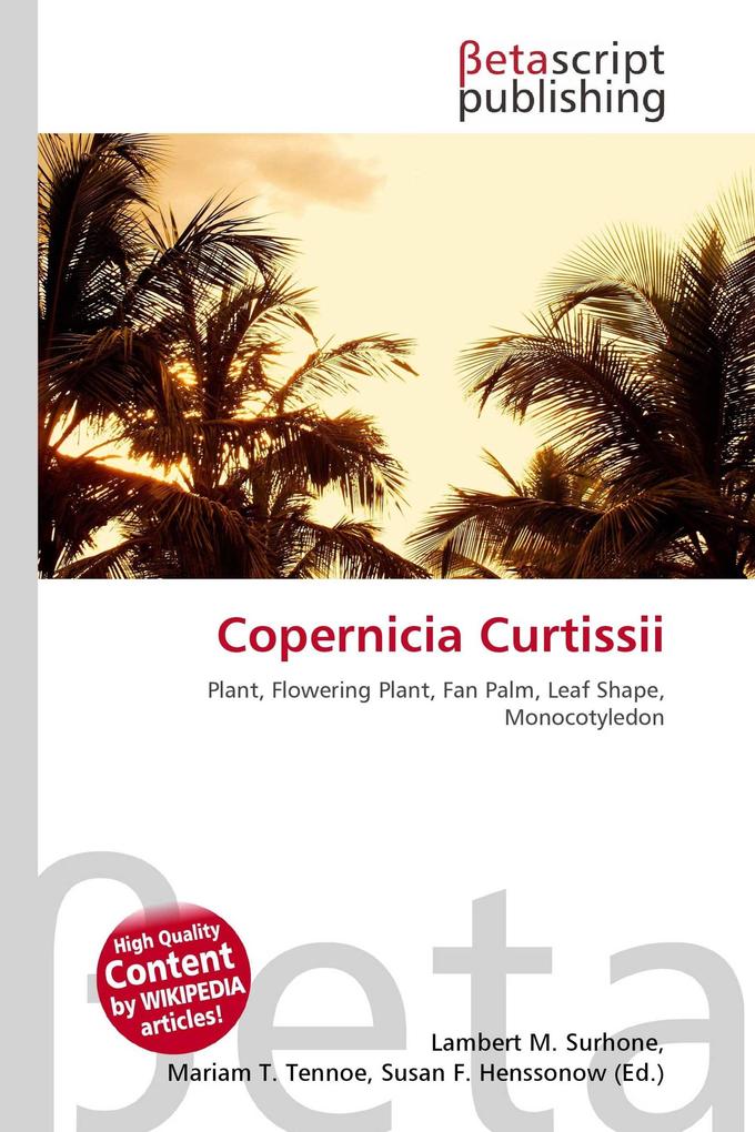 Copernicia Curtissii