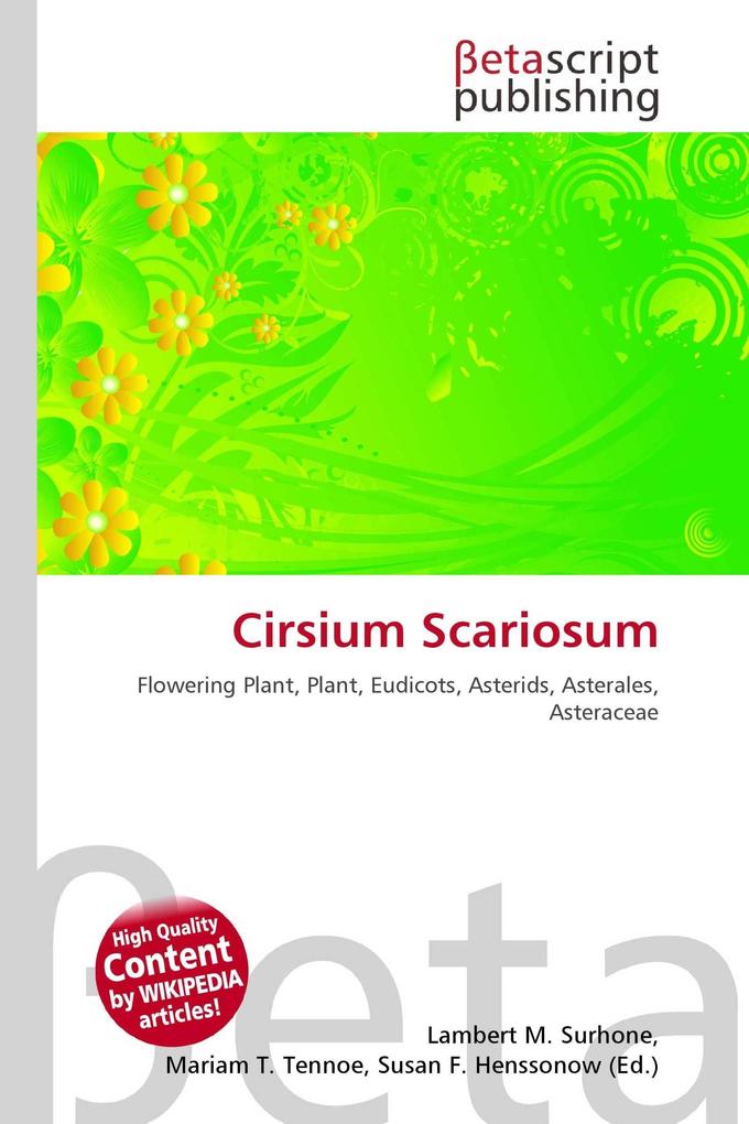 Cirsium Scariosum