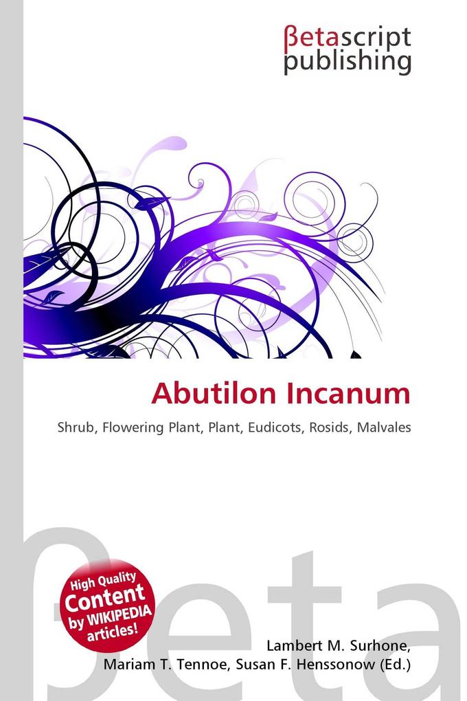 Abutilon Incanum