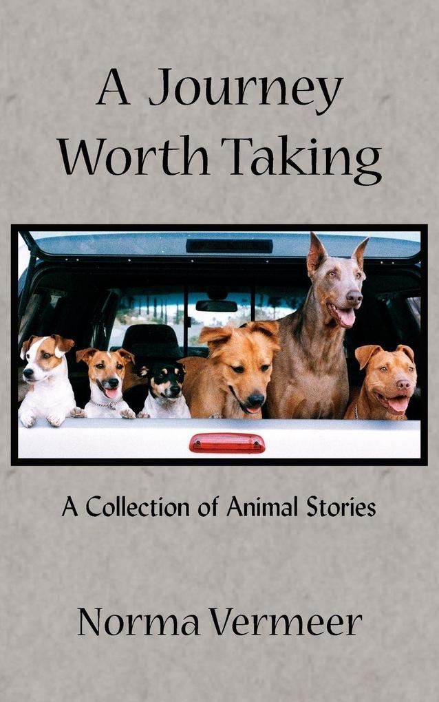 A Journey Worth Taking