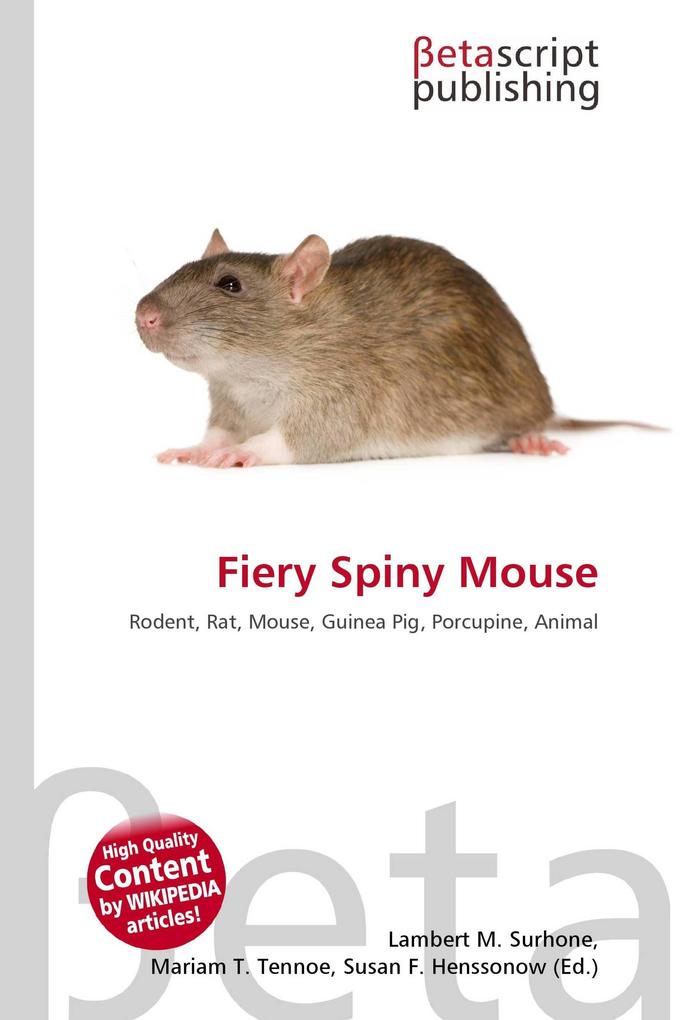 Fiery Spiny Mouse