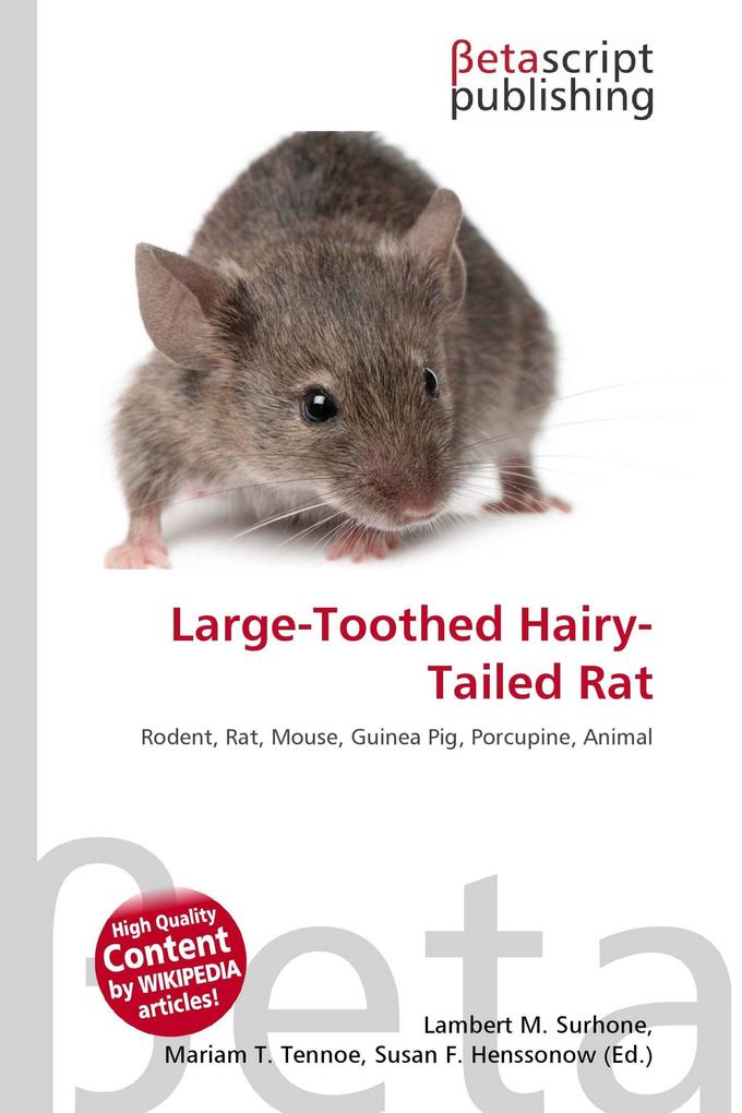 Large-Toothed Hairy-Tailed Rat