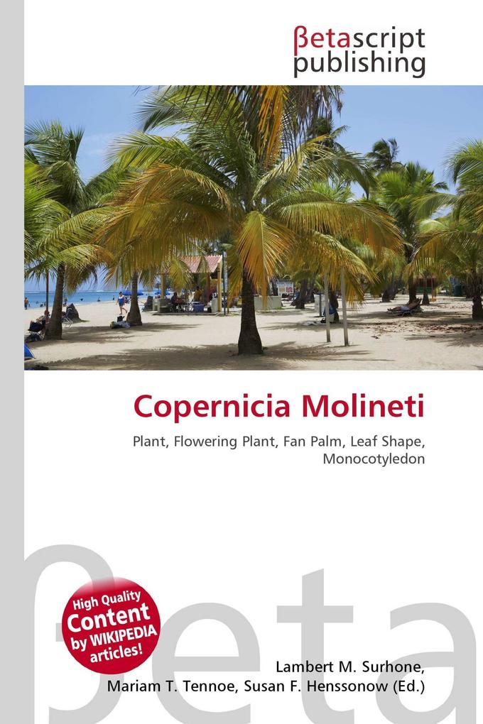 Copernicia Molineti
