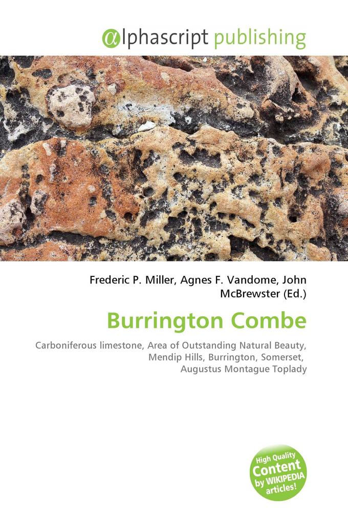 Burrington Combe