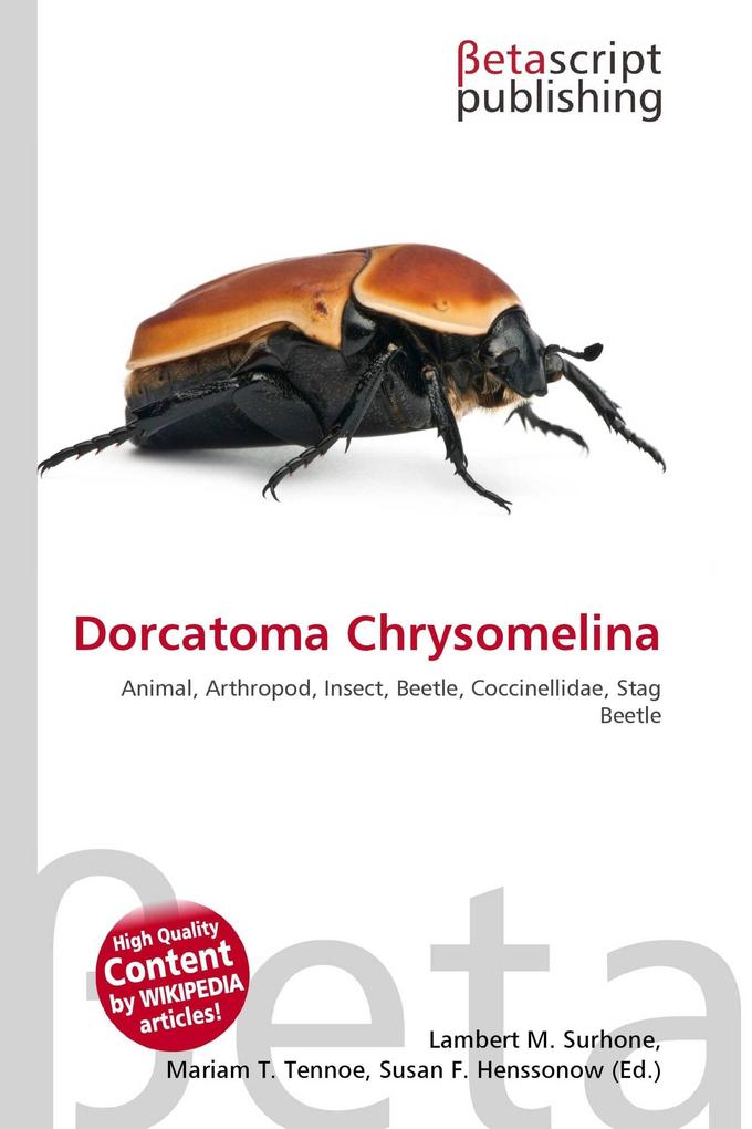 Dorcatoma Chrysomelina