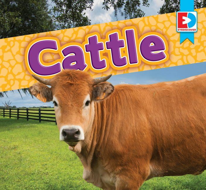 Cattle