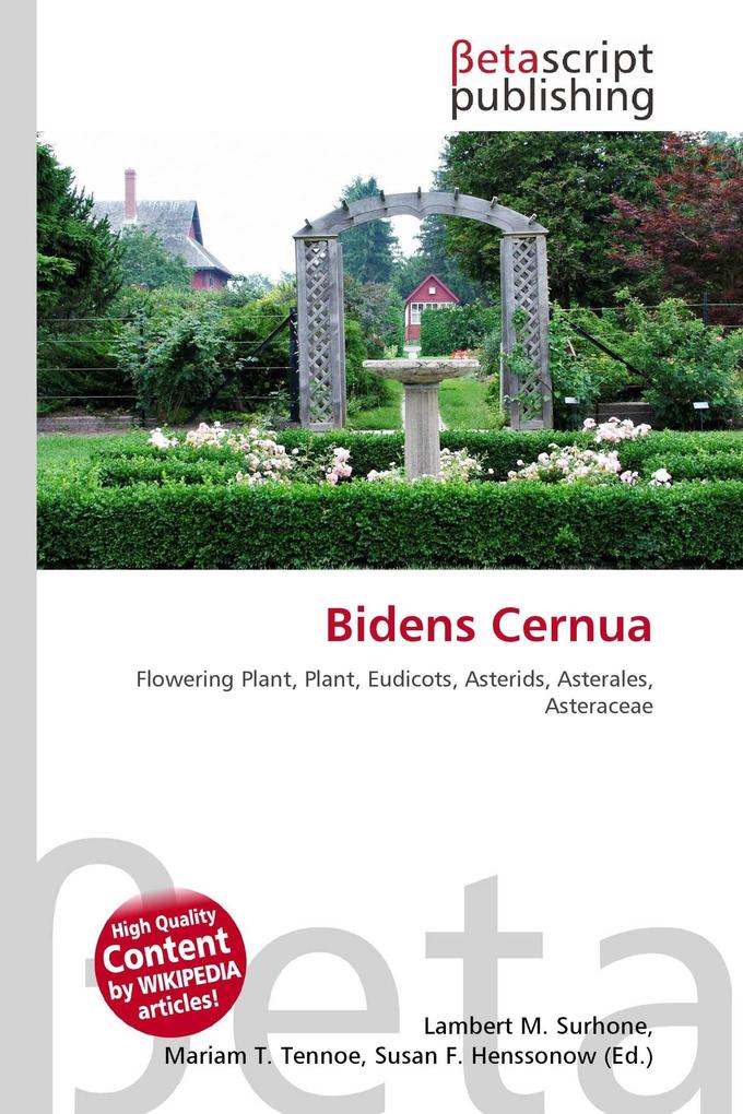 Bidens Cernua