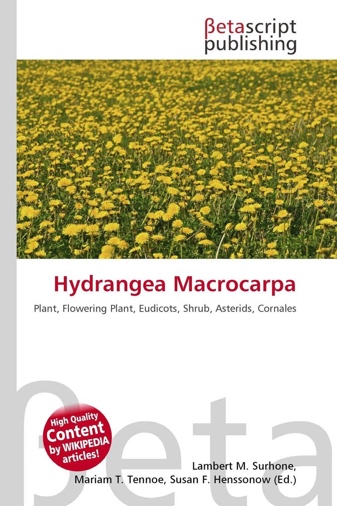 Hydrangea Macrocarpa