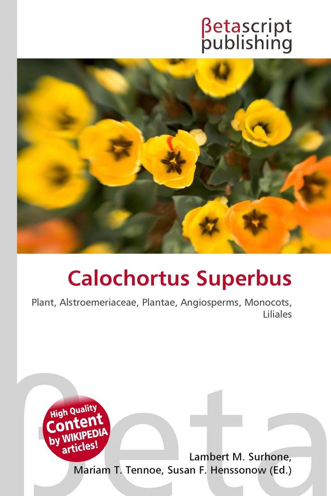 Calochortus Superbus