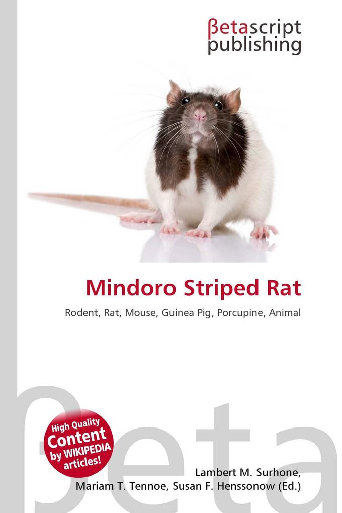 Mindoro Striped Rat