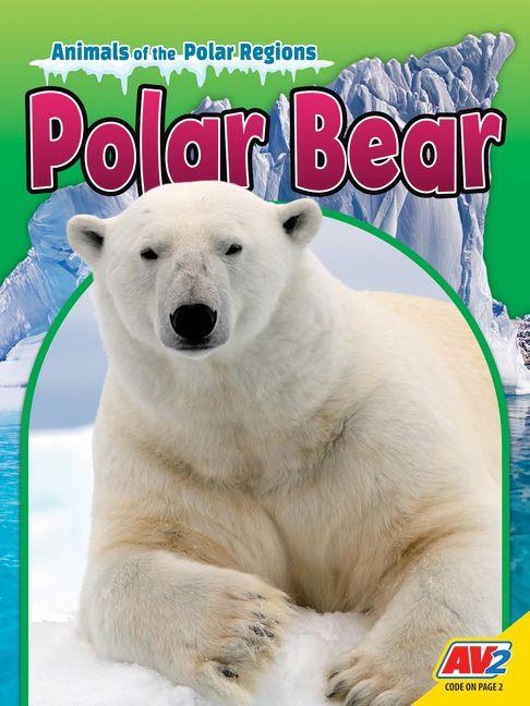 Polar Bear