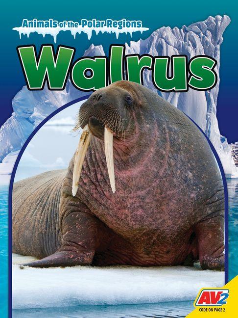 Walrus