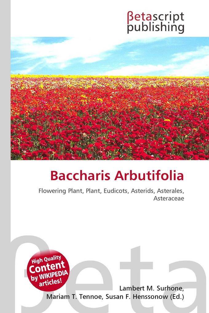 Baccharis Arbutifolia