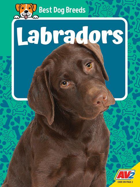 Labradors