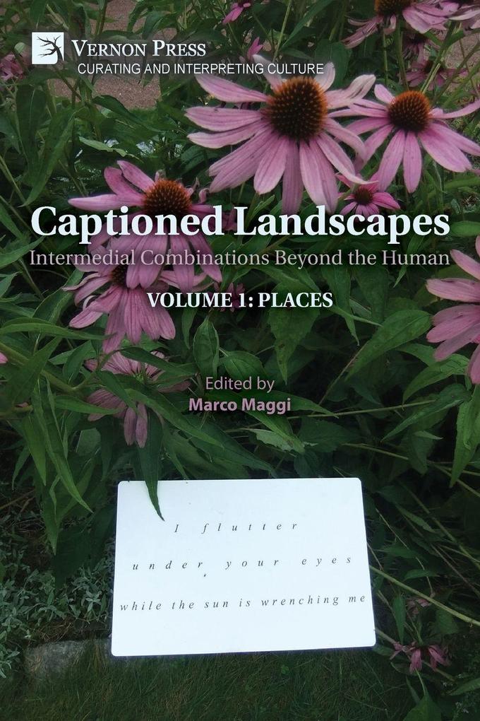 Captioned Landscapes